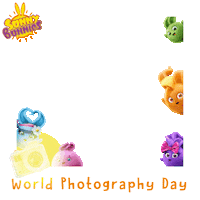 Photography Smile Sticker by Sunny Bunnies