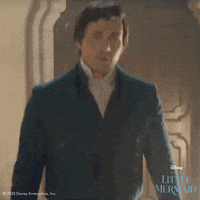 The Little Mermaid Eric GIF by Walt Disney Studios