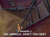 hey arnold nicksplat GIF