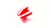 mr sorry brazil GIF