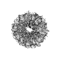 xponentialdesign loop black and white organic visuals GIF