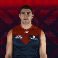 lets go time GIF by Melbournefc