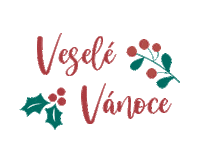 Veselevanoce Stastneavesele Sticker by Mementerra