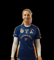 All-Ireland Camogie GIF by AIB