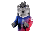 Sport Mascot Sticker by FinHockey