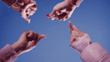 Cherry Blossoms Pink GIF by Sub Pop Records