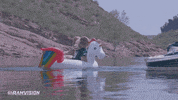 csu rams GIF by Colorado State Rams