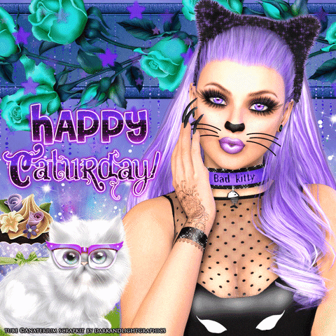 Anaterium happy kitty purple kitten GIF