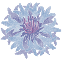 Drfelisflower Sticker by Dr.Felis