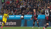 bundesliga b04bvb GIF by Bayer 04 Leverkusen