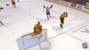 Happy National Hockey League GIF by NHL