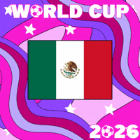 Fifa World Cup Futbol GIF