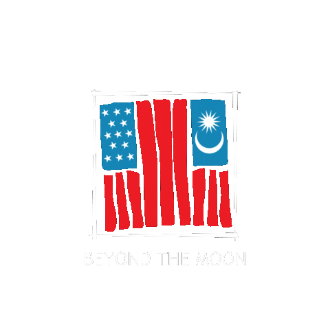 USEmbassyKL giphyupload moon nasa orbit Sticker