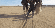 nbc lay down GIF by 1st Look