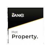 Bankeinternational Sticker by SOCIAL BANKE