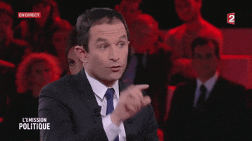 benoit hamon bras GIF by franceinfo