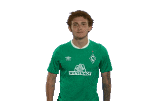 Josh Sargent Football Sticker by SV Werder Bremen