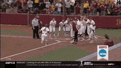 minnesota softball GIF by NCAA Championships