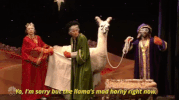the llamas mad horny right now GIF by Saturday Night Live