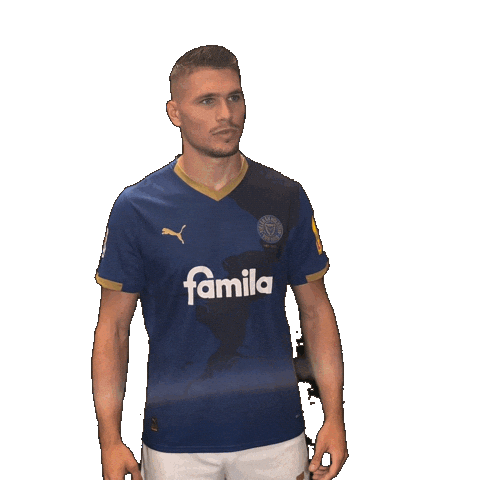 2 Bundesliga Football Sticker by Holstein Kiel