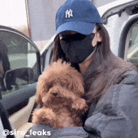 Sira GIF