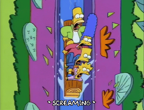 homer simpson GIF