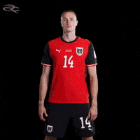 Fifa World Cup Austria GIF by Respective