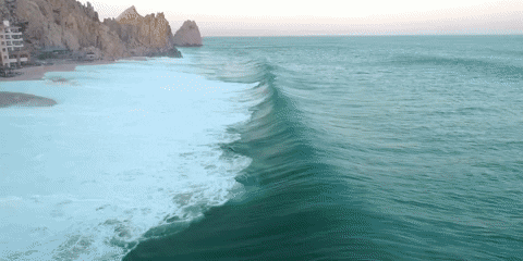 whichwatchnext giphyupload GIF