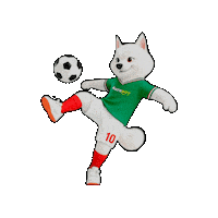 Futbol Coco Sticker by Macropay