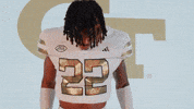 Georgia Tech Football Sport GIF by Georgia Tech Yellow Jackets