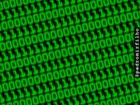 Loop Glitch GIF by Pedro Miranda Filho