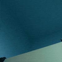 Tanzneid GIF by Electric Callboy