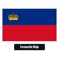 Flag Pixel Art Sticker by Formación Ninja