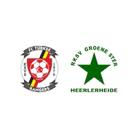 Sport Heerlen Sticker by Groene ster