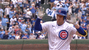 Celebration Cubs GIF by Marquee Sports Network