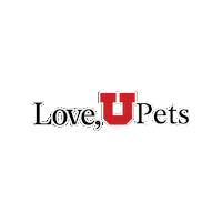 Uofu Universityofutah Sticker by UGivingDay