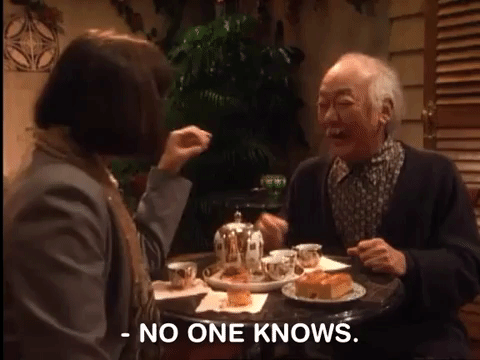 the mystery files of shelby woo nicksplat GIF