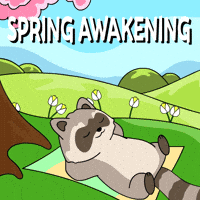 Bitcoin Spring GIF by Ordinary Frends