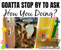 How You Doing Whats Up GIF by Goatta Be Me Goats! Adventures of Java, Toffee, Pumpkin and Cookie!