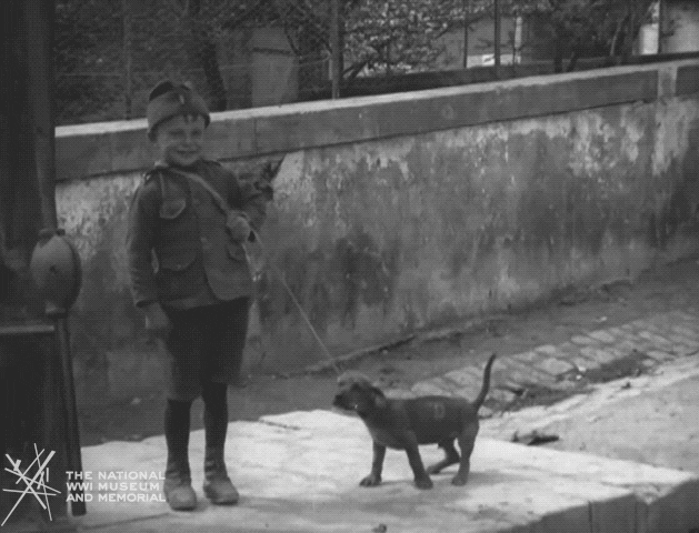 NationalWWIMuseum giphyupload black and white salute military GIF