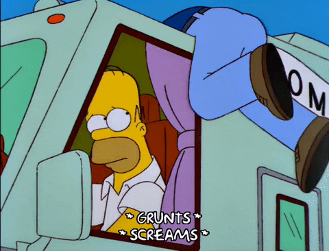 homer simpson GIF