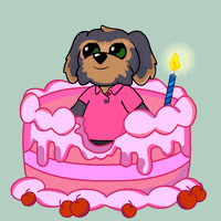Happy Party GIF by BoDoggos