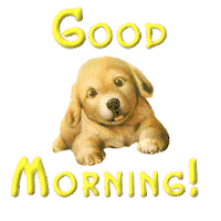 Good Morning Sticker