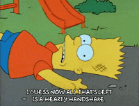 Season 1 GIF by The Simpsons