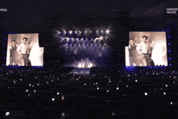 Abs Lollapalooza GIF