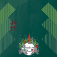 mexico rusia2018 GIF by gobiernozac