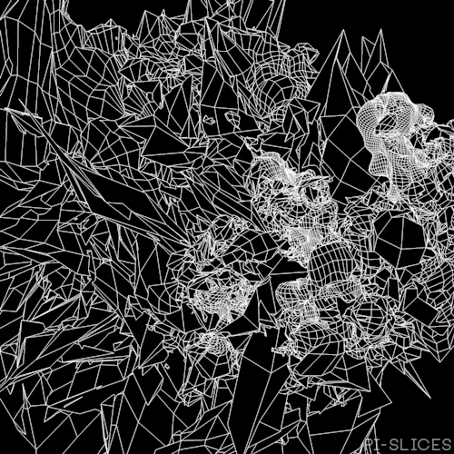 pislices loop glitch 3d trippy GIF