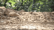 Excavator Grading GIF by JC Property Professionals