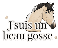 Horse Equitation Sticker