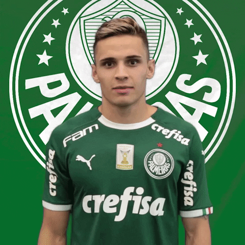 Palmeiras soccer no nope stop GIF